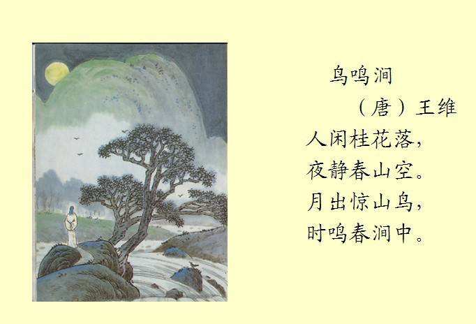 菲律宾律师华人(律师详细讲解)